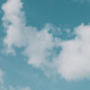 Meet your Posher, Jolene